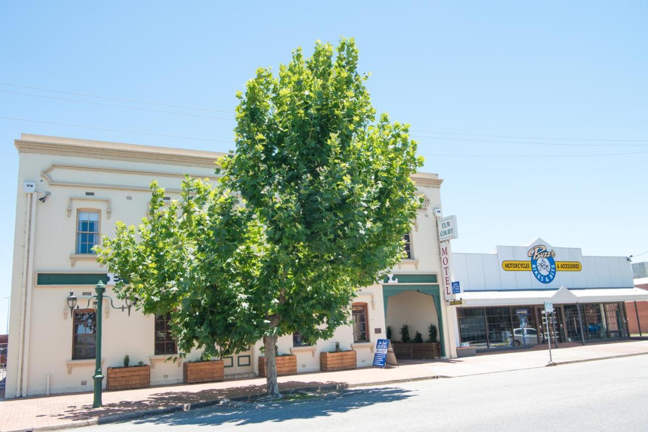 אלבורי Elm Court Motel מראה חיצוני תמונה