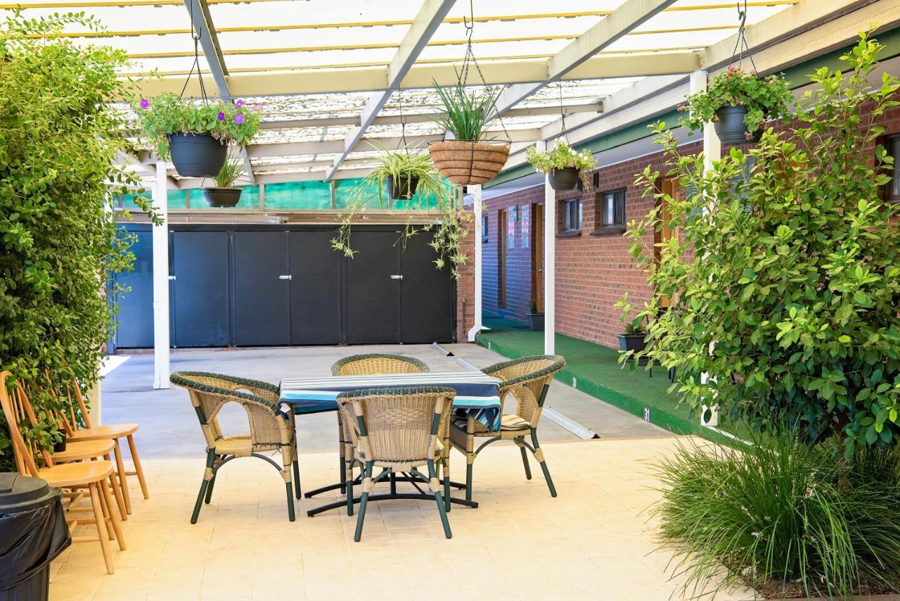 אלבורי Elm Court Motel מראה חיצוני תמונה