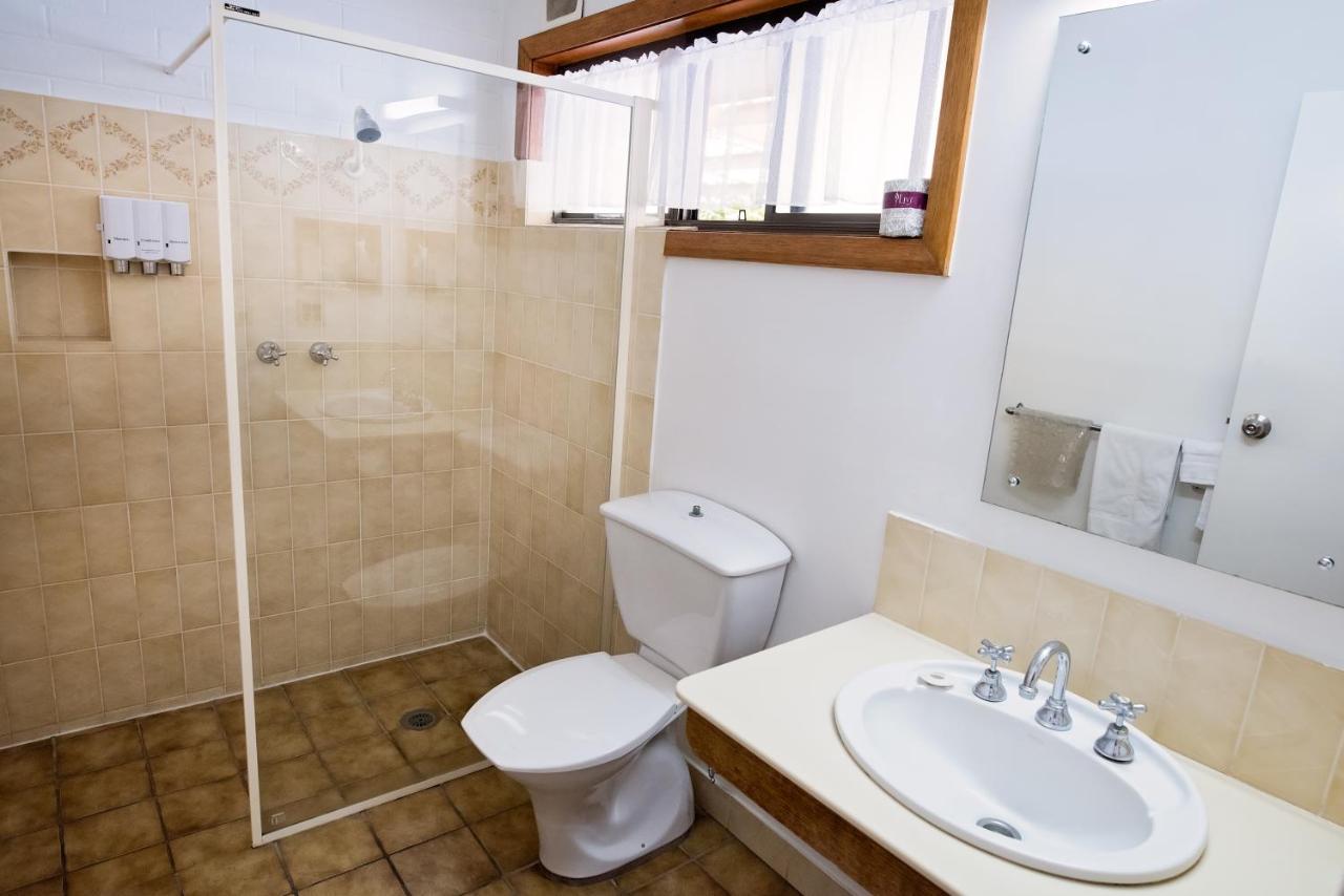 אלבורי Elm Court Motel מראה חיצוני תמונה