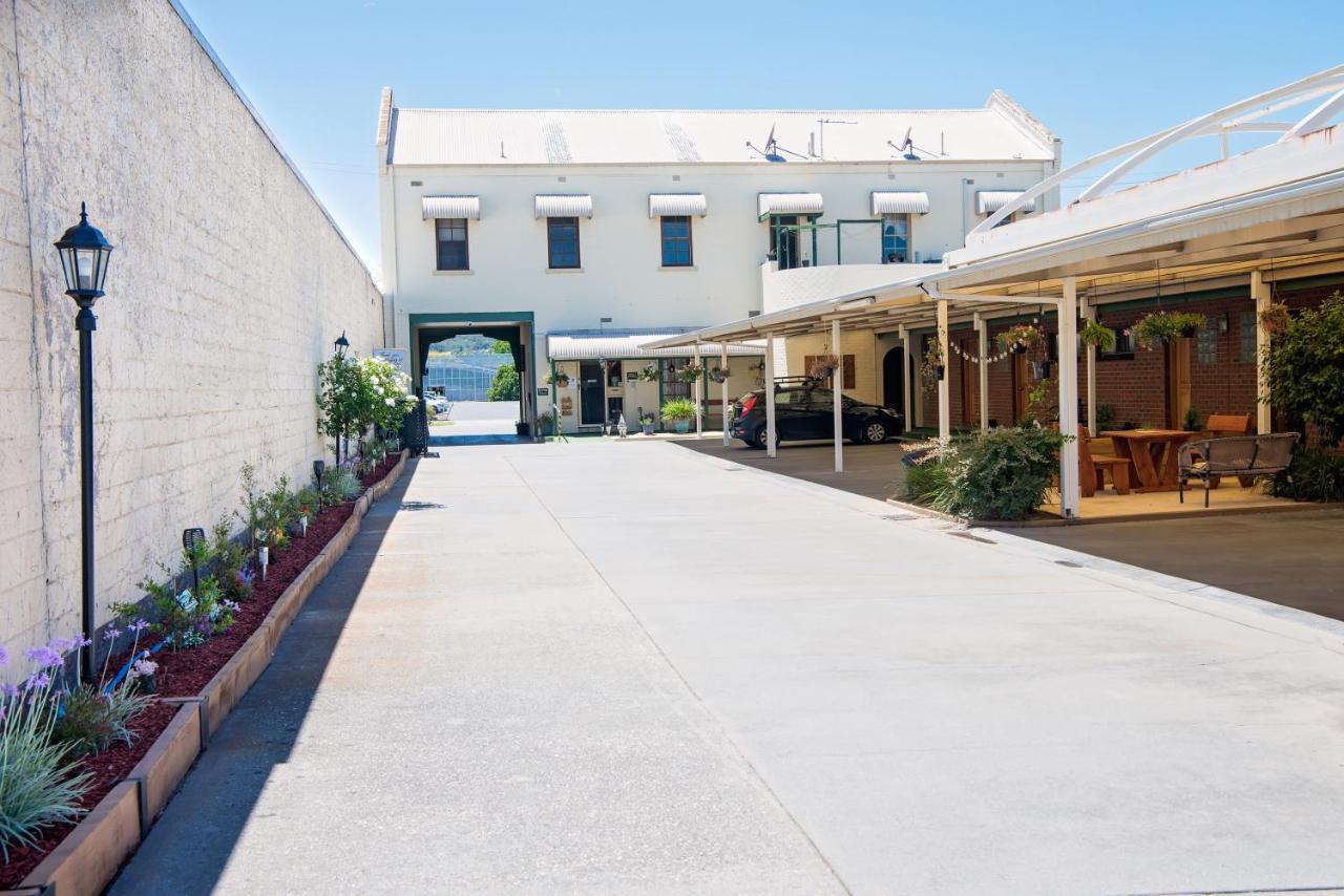 אלבורי Elm Court Motel מראה חיצוני תמונה