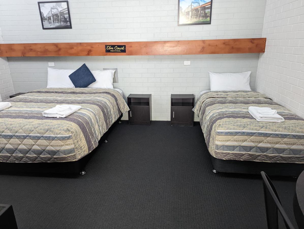 אלבורי Elm Court Motel מראה חיצוני תמונה