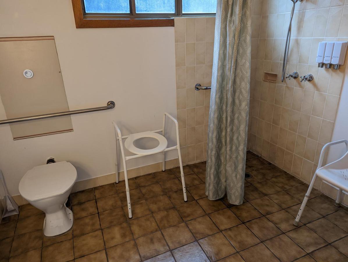 אלבורי Elm Court Motel מראה חיצוני תמונה