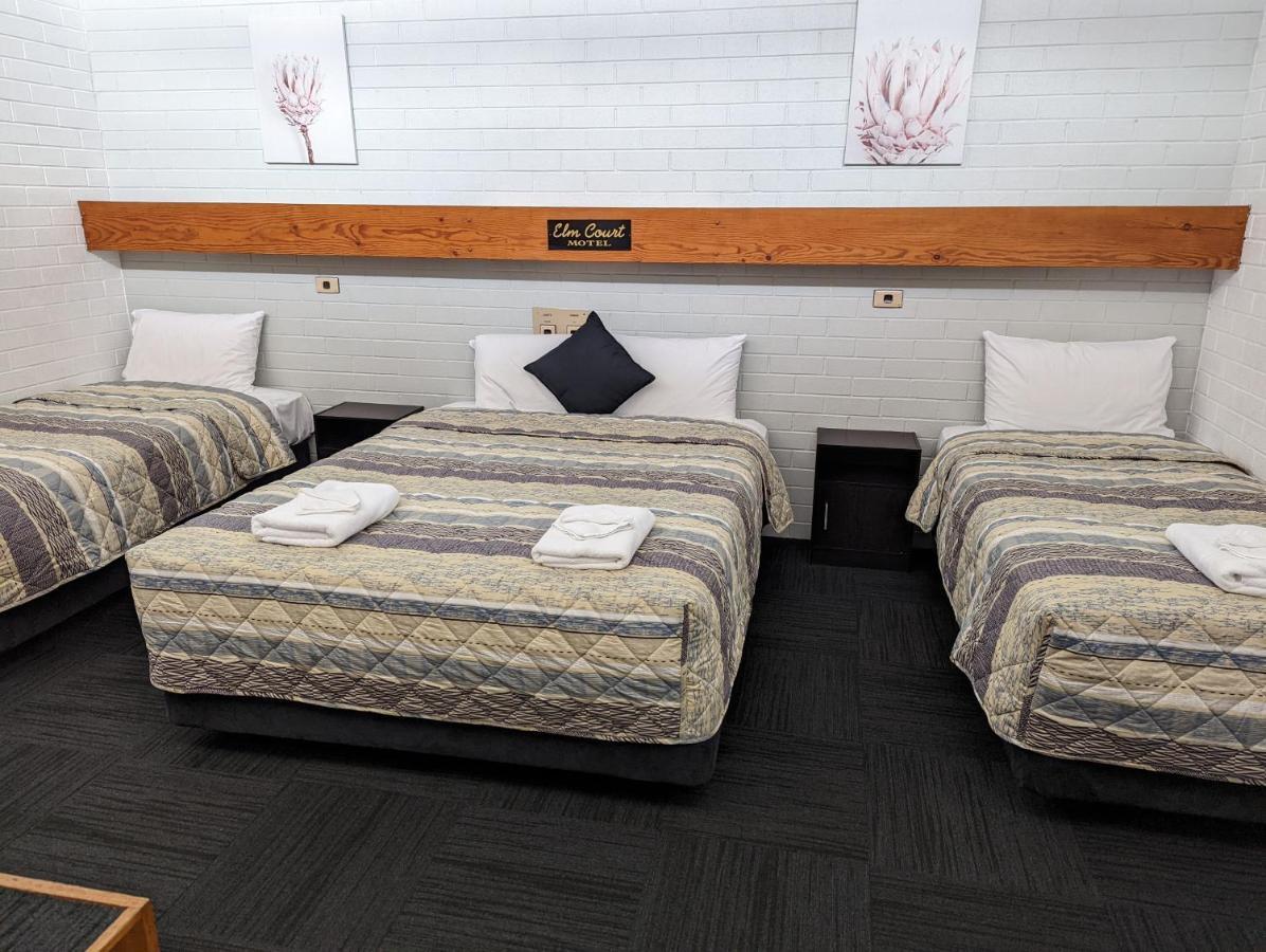 אלבורי Elm Court Motel מראה חיצוני תמונה