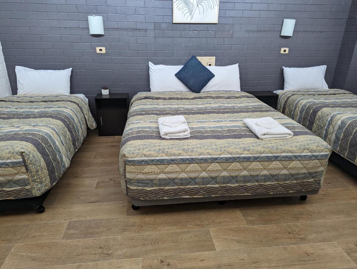 אלבורי Elm Court Motel מראה חיצוני תמונה