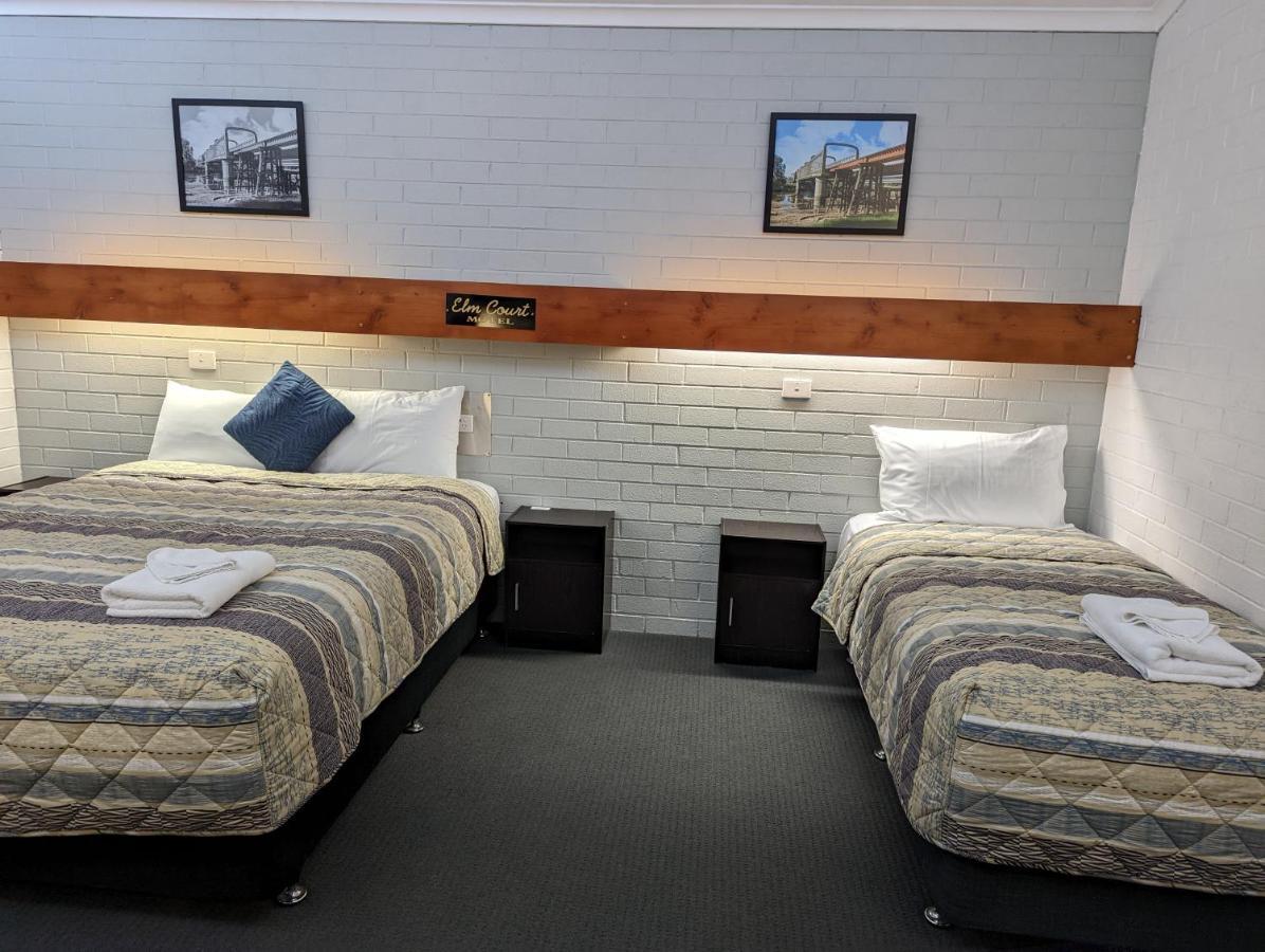 אלבורי Elm Court Motel מראה חיצוני תמונה