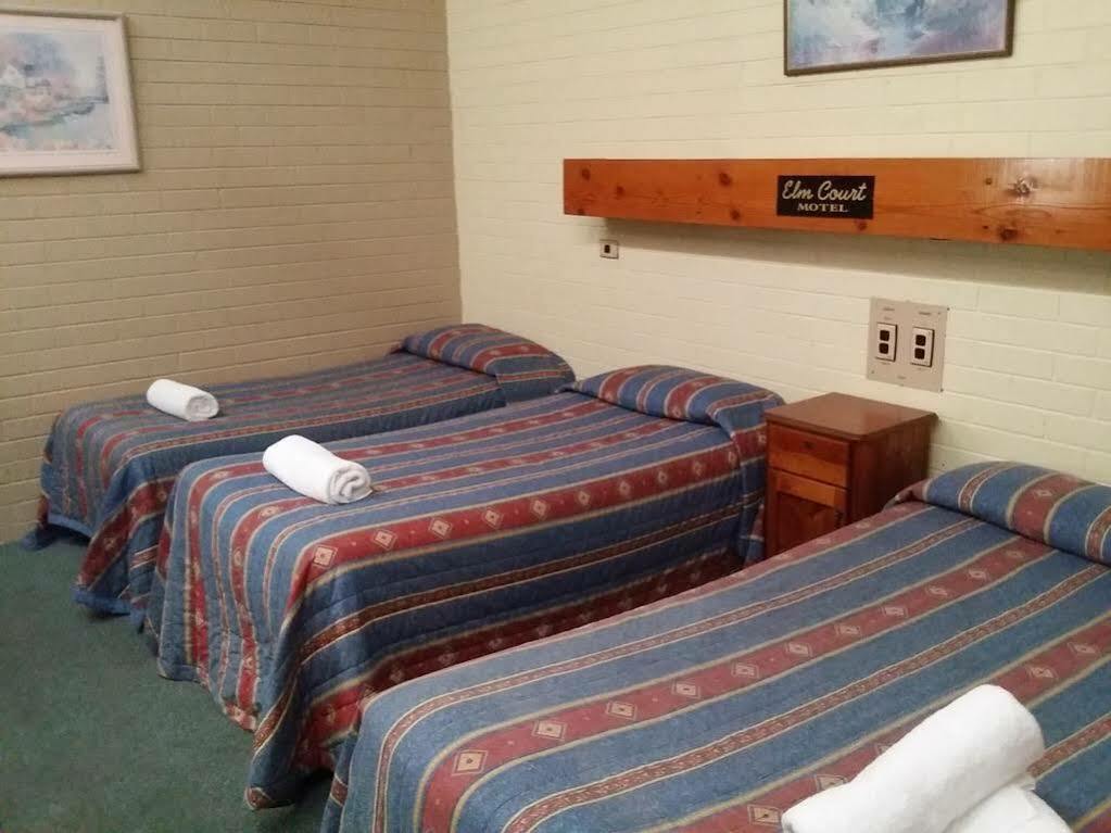 אלבורי Elm Court Motel מראה חיצוני תמונה