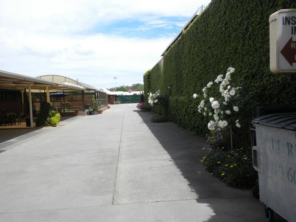אלבורי Elm Court Motel מראה חיצוני תמונה